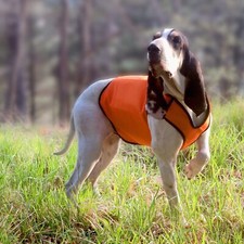 GIACCHETTO PROTETTIVO