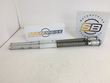 MOLLE POMPANTI E TUBI OHLINS DUCATI 1199 PANIGALE S / PUMPING FRONT FORK