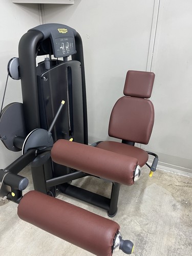 Technogym seated leg curl - leg,