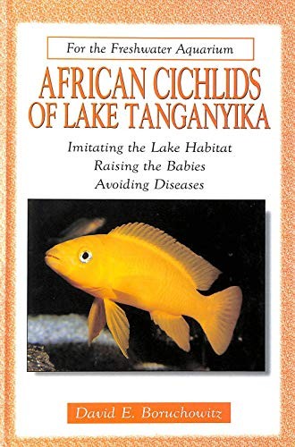 African cichlids lake - of,