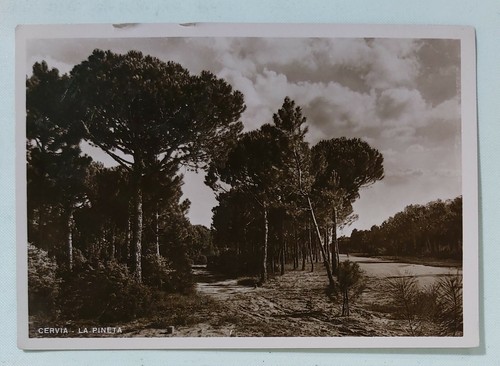 35299 4500 cartolina ravenna - cartolina,