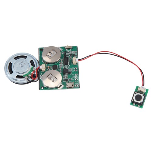 Modulo audio registrabile - modulo,