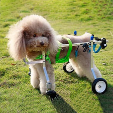 Carrello Cani Disabili
