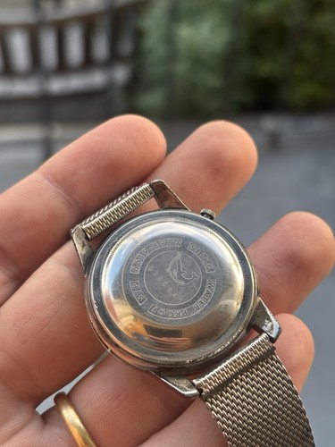 Delfino croccante seiko - delfino,