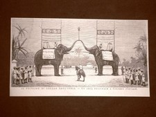 Il Principe di Galles in India nel 1876 Arco trionfale a Colombo, Ceylan