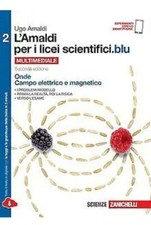 L' amaldi per i licei