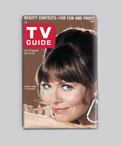 Get smart barbara feldon guida - smart,