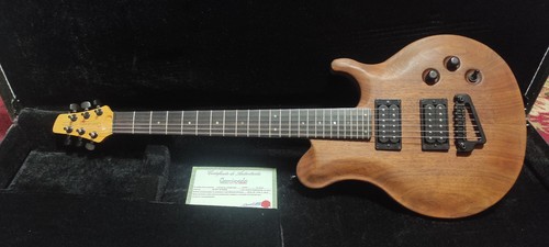 Chitarra elettrica - chitarra,