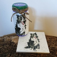 🐘 Barattolo, vaso, vaso e