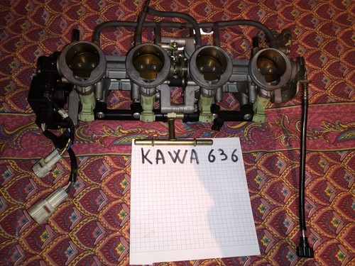 Gruppo farfallato kawasaki - farfallato, 636