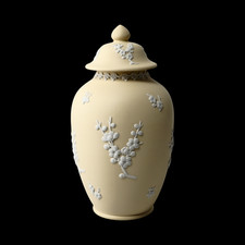 Wedgwood Jasperware Primula