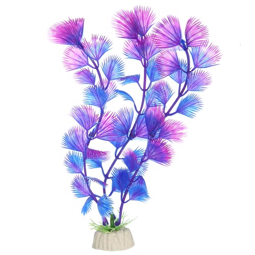 1pz pesce vasca acquario - 1pz,