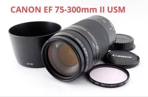 Canon 300 6 ii usm - 75-300,
