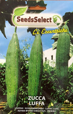 Semi Zucca Luffa Cylindrica