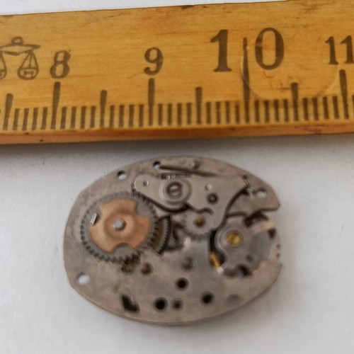 Movimento orologio polso