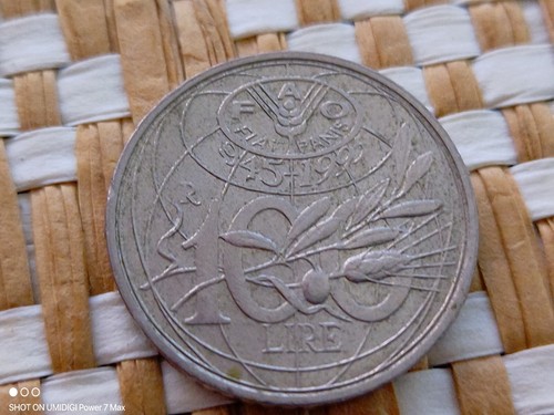 Moneta 100 lire fao del - 100,