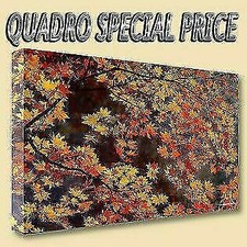 QUADRI MODERNI TELA 30X50