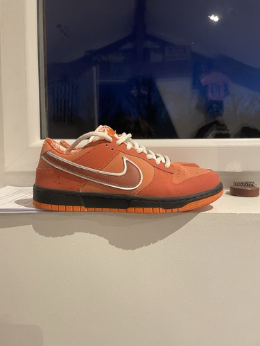 Dunk concept orange lobster - x,
