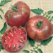 Cherokee purple tomato seeds - tomato,
