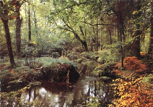Carte huelgoat rivière - carte,