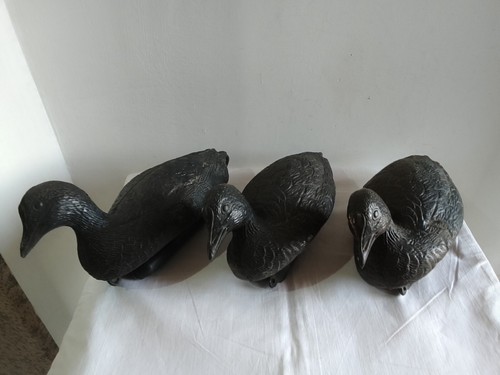 Anatra papera galleggiante - papera,