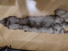 pelliccia visone grigio