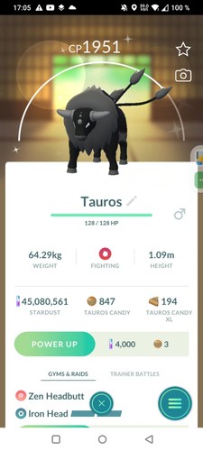 Shiny tauros combat form - shiny,