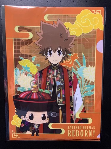 Tutor hitman reborn tsunayoshi - tutor,