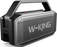 W-King D9-1 60W Altoparlante