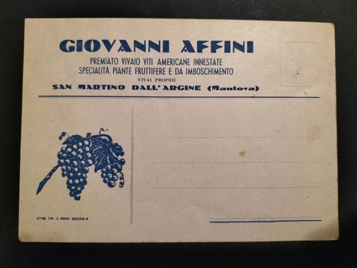 Giovanni affini vivaio - giovanni,