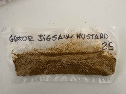 Peperoncino piccante gator - piccante,