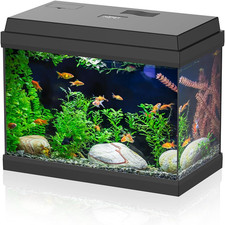 Acquario in Vetro per Pesci