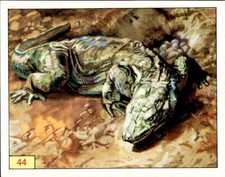 Figurine Animali Preistorici