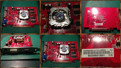 Scheda video grafica - video, asus