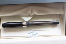 Penna stilografica trasparente