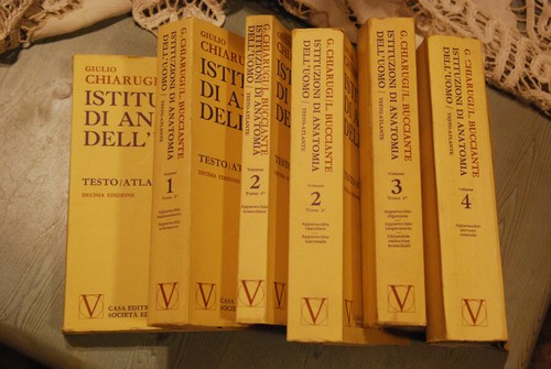 Istituzioni anatomia - di,