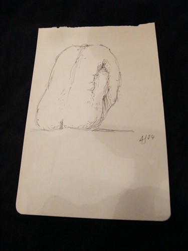 Disegno pennarello andré - disegno, a