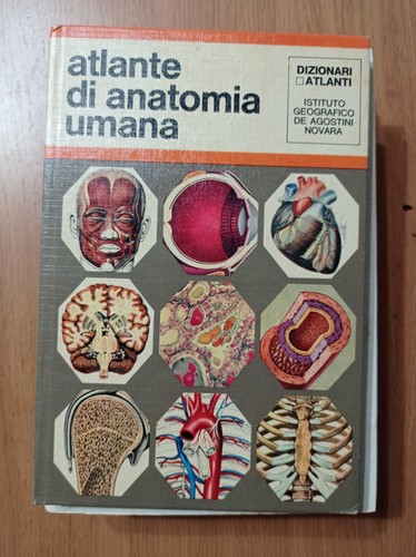 Atlante anatomia umana - di,