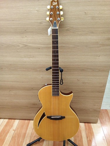 Chitarra acustica elettrica