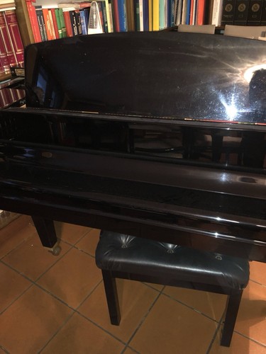 Pianoforte coda - a,