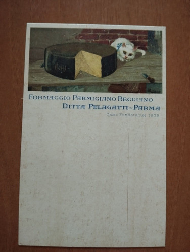 Pubblicitaria formaggio - pubblicitaria,
