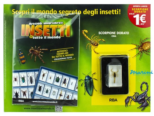 Collezione rba insetti - collezione, da