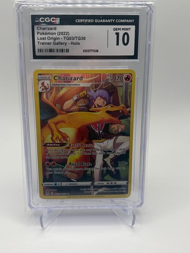 Perfect charizard - perfect,