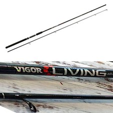 Canna pesca spinning - canna,