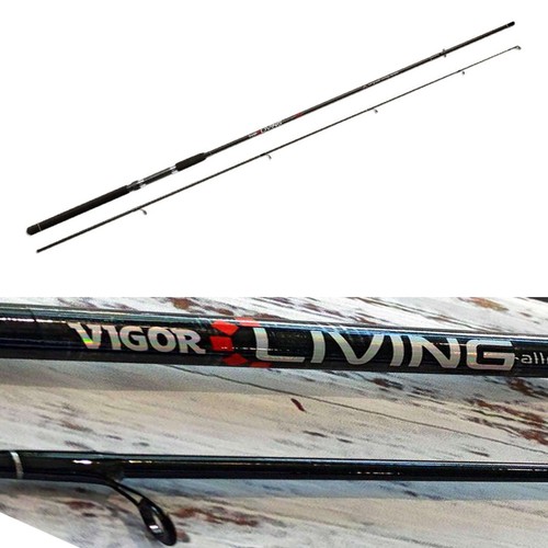 Canna pesca spinning - pesca,