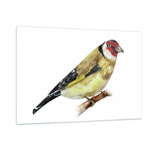 Quadro vetro 120x80cm - quadro, su