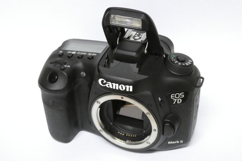 Canon eos mark - canon,