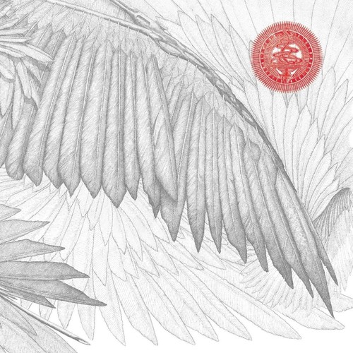 The bug angels devils - &,