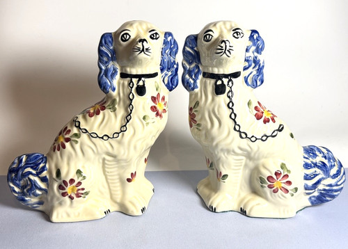 Raro grande cane spaniel