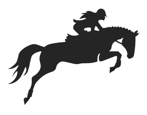 Reiterin reitsport auto - reiterin,,